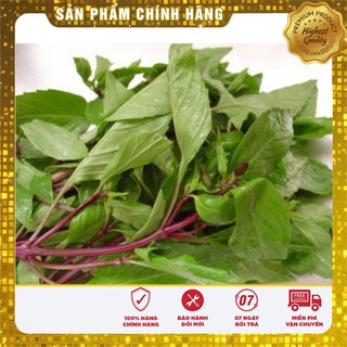 Hạt giống Rau Húng Quê ( gói 2 gram )