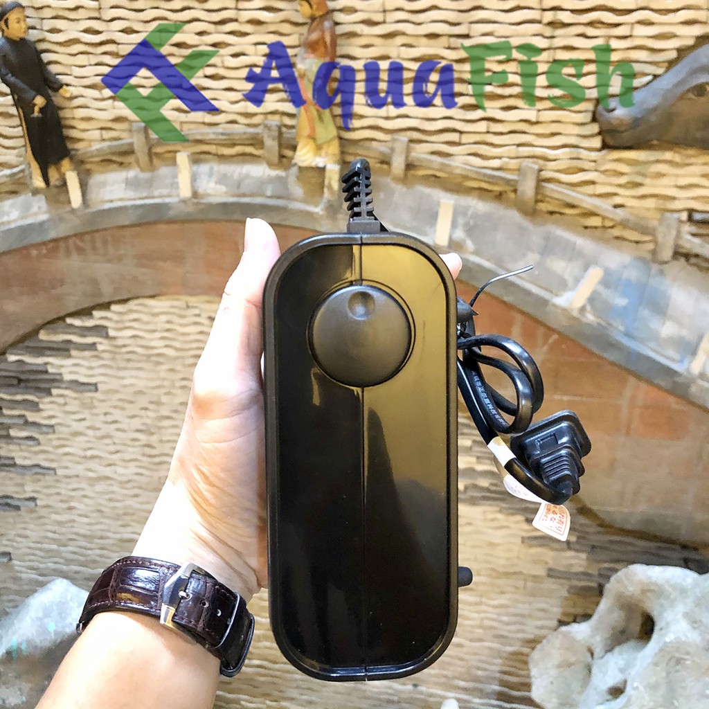 Máy Sủi Khí 2 Vòi GEX E - AIR 6000WB (chạy êm, tặng kèm 2 bộ dây quả sủi)