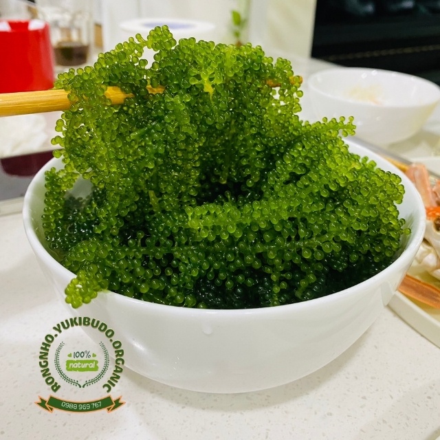 Rong Nho Green Food Tách Nước Kèm Chai Xốt Mè Rang Kewpie 180ml