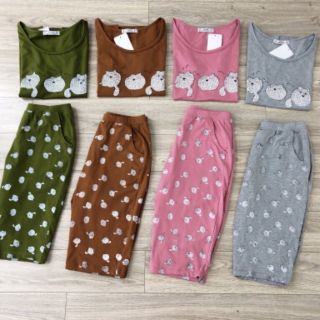 bộ ngố cotton hình cú