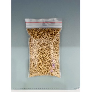 Hạt giống cỏ lúa mì cho mèo túi 200g