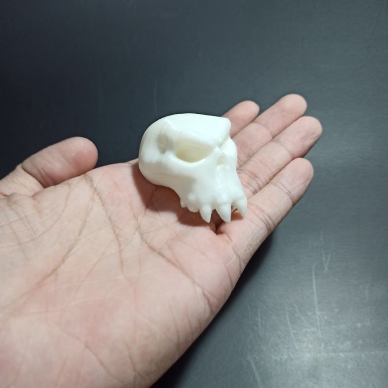 Mô hình đầu lâu Ork cao 36mm tỉ lệ 1:6, trang trí tiểu cảnh kinh dị, sa bàn, chuồng bò sát, halloween