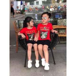 combo  Bộ guci mèo huy89
