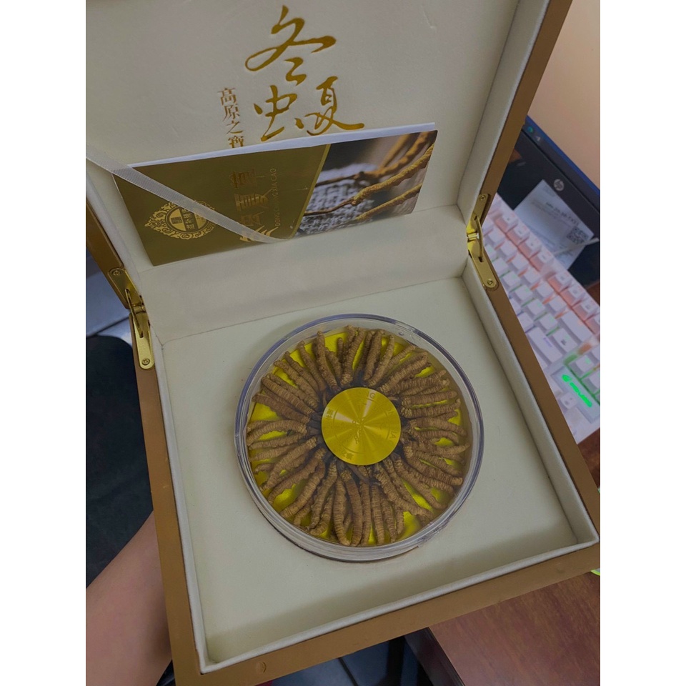 Đông Trùng Hạ Thảo Tây Tạng Nguyên Con tự nhiên