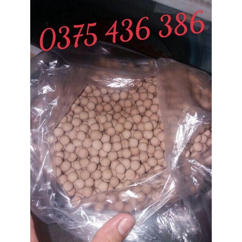Máy làm viên trân châu,viên hoàn thuốc đông y 16/19/23mm
