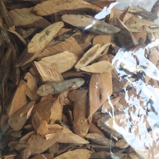cây nổ gai phơi khô 1kg