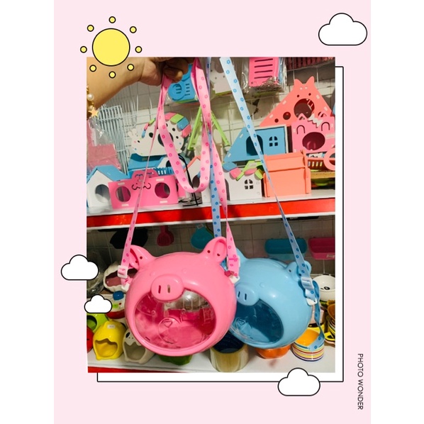 lồng xách tay heo con