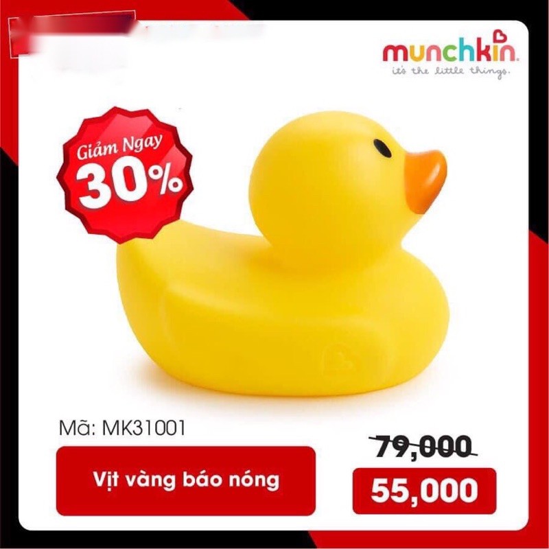 Vịt vàng báo nóng Munchkin