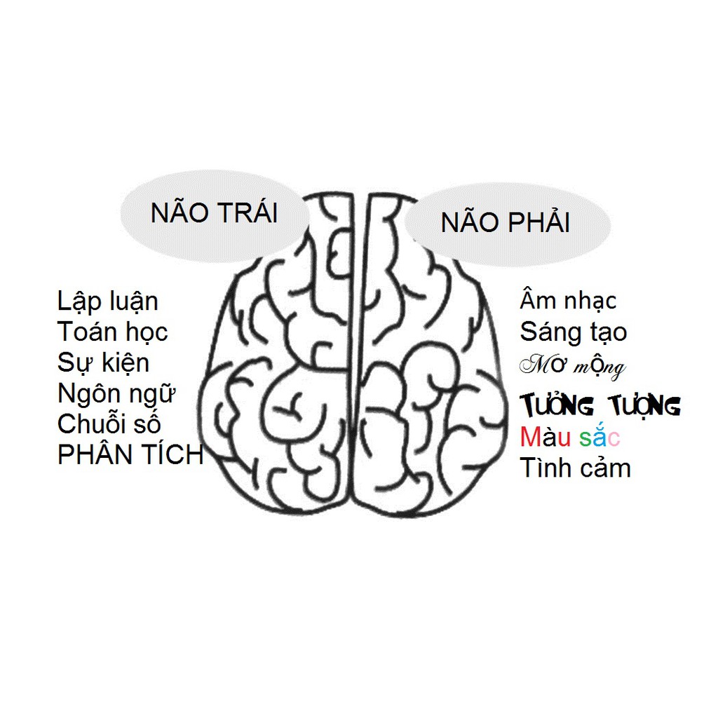 Sách - Bí Ẩn Của Não Phải (Mỗi đứa trẻ là một thiên tài)