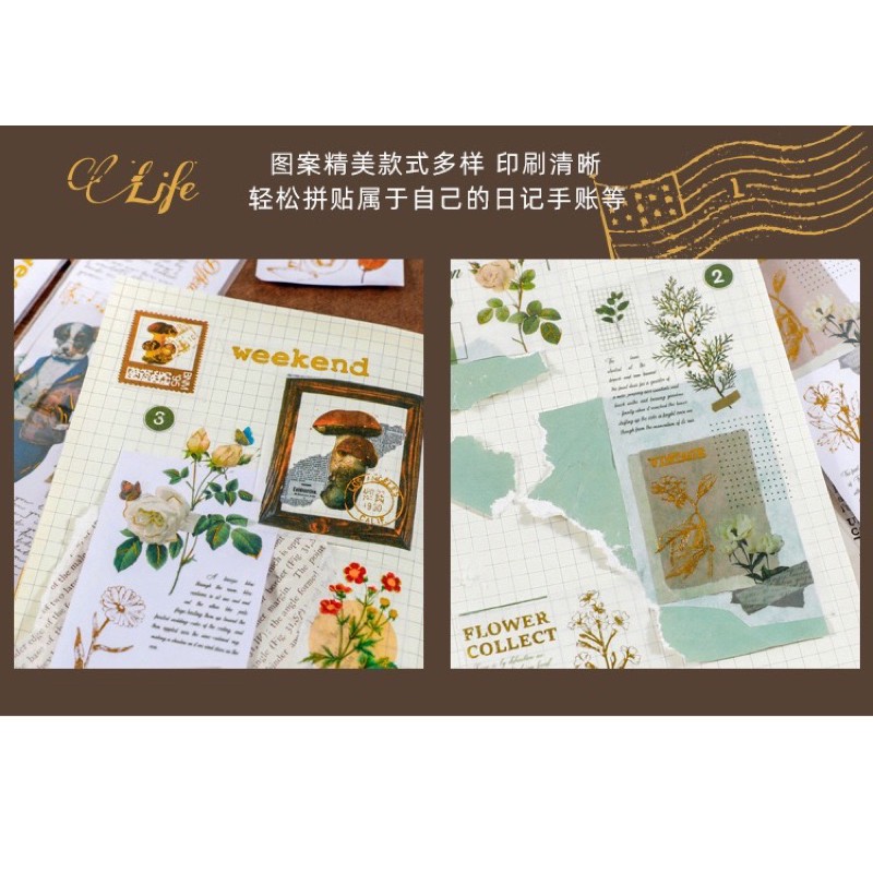 stickers dải retro vintage mushroom thực vật plants ánh kim chuyên trang trí bullet journal planner 4 mẫu siêu đẹp rẻ