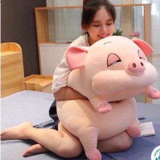   KHỔNG LỒ Gấu Bông to Gối Ôm Heo Lợn 75cm - 1m .Thú Nhồi Bông phê cần lim dim Siêu to khổng lồ béo ú đáng yêu ngộ nghĩnh 