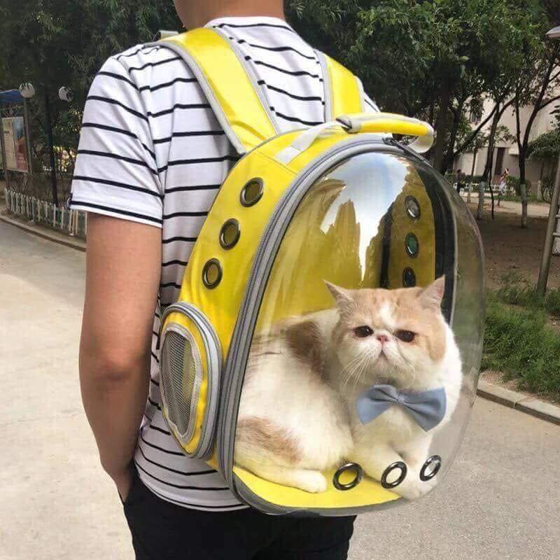 Balo Phi Hành Gia Cho Mèo Mặt Kính Trong Suốt (Thích Hợp Mèo Dưới 8kg)
