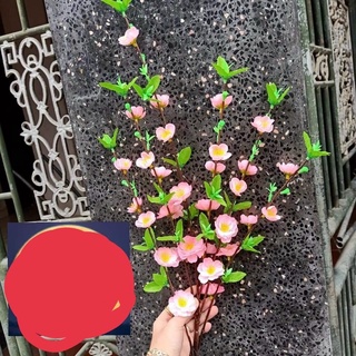 Hoa  Mai Đào tết