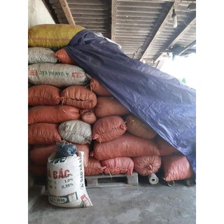 Thảo quả khô Hoàng Su Phì - Hà Giang 100g