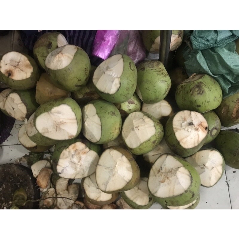 DỪA XIÊM - DỪA TA Bến Tre.