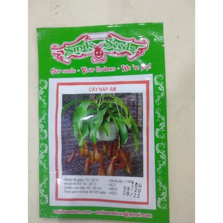 Hạt Giống Cây Nắp Ấm (Hạt Giống Ngọc Chi) - 10 Hạt