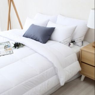 Ruột chăn đại hàn 2m x 2m2( 3kg)