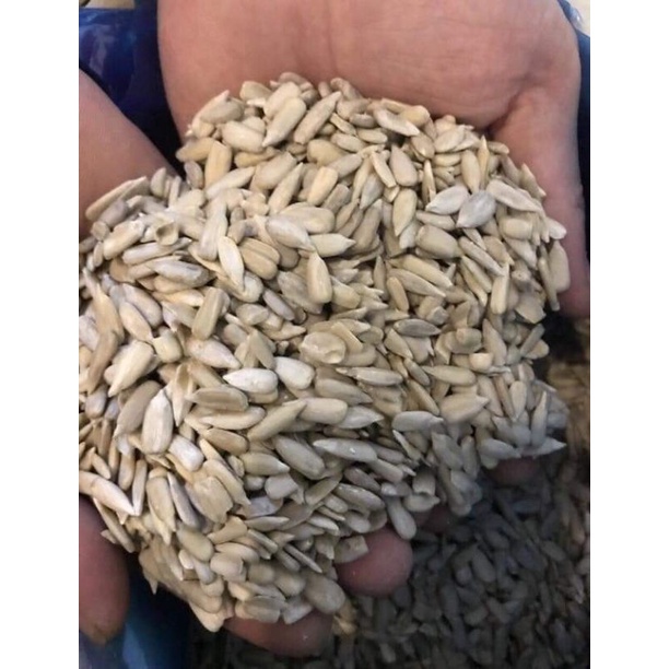 500gr nhân hướng dương