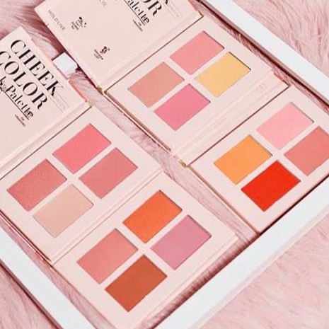 (HÀNG NỘI ĐỊA TRUNG) HOLD LIVE - Bảng má Cheek Color Shadow Book Palette