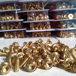 [HOT] Bộ 4 con  Ốc bắt mão Winner X