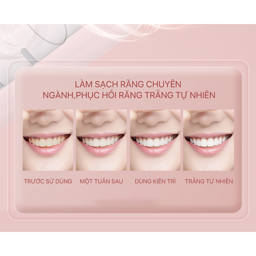 Bàn chải điện BOMIDI T501 công nghệ sóng âm đánh răng tự động 3 chế độ làm sạch mảng bám hiệu quả