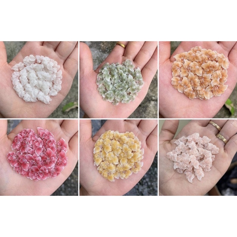 Hoa bột ẩn(giá 1 bông)