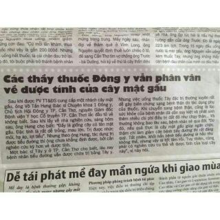 Lá mật gấu khô 