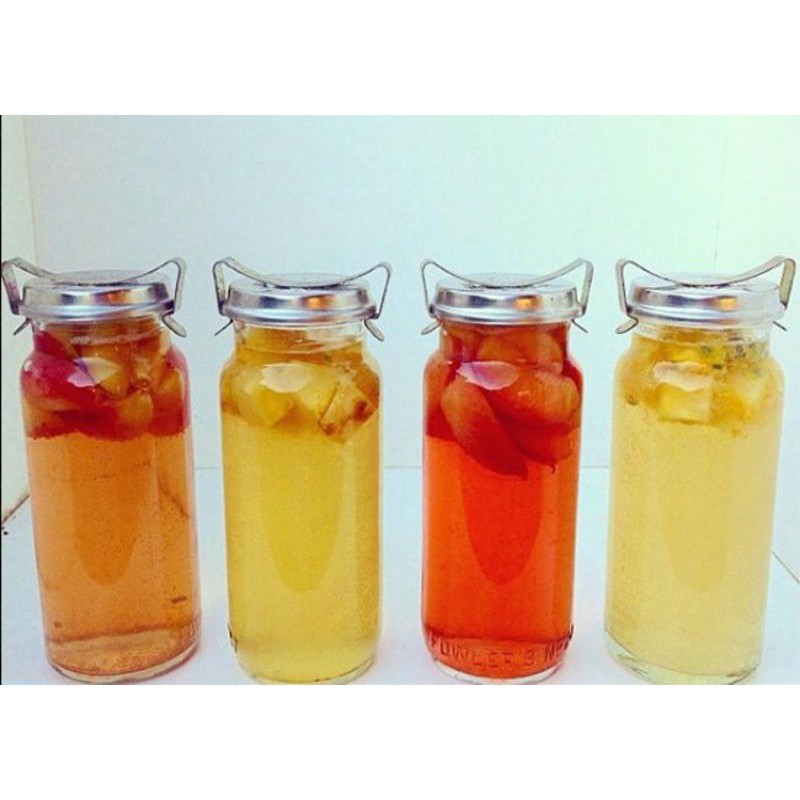 Trà Kombucha / Scoby + nước mồi làm trà Kombucha dễ dàng thực hiện