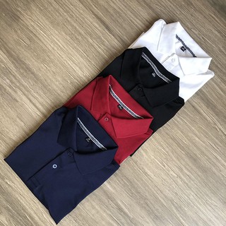 Áo thun nam có cổ, áo POLO, chất liệu vải cá sấu cotton CAO CẤP sang trọng, trẻ trung kiểu dáng đẹp