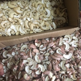 500gr Hạt điều sống