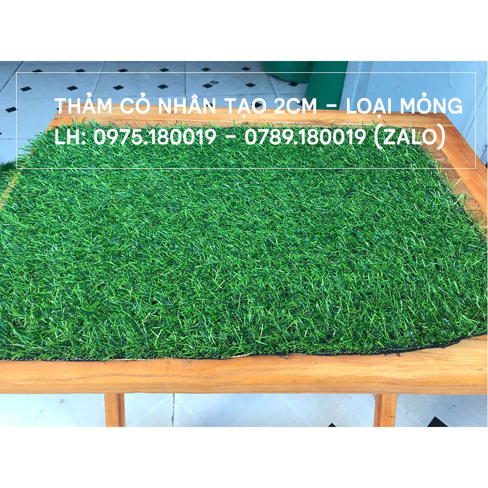 [COMBO 10m2] Thảm cỏ nhân tạo 2cm | Cỏ nhân tạo SG