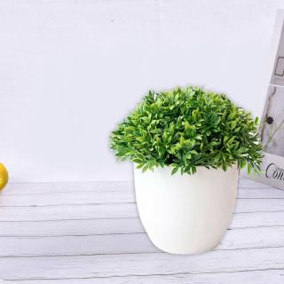 Chậu Cây Giả Trang Trí nội thất