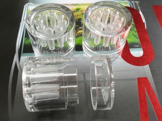 BẪY SÁN PLANARIA HỒ CÁ TÉP