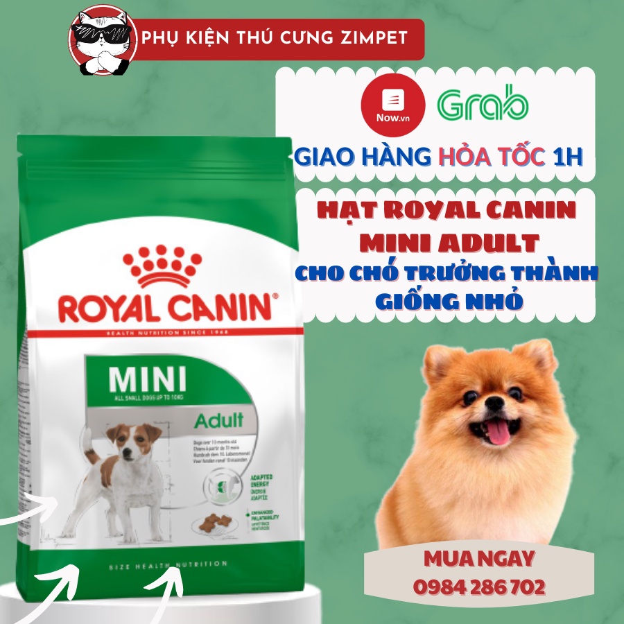 Hạt Royal Canin Mini Adult Cho Chó Trưởng Thành Giống Nhỏ gói nguyên hãng 800g hoặc 2kg