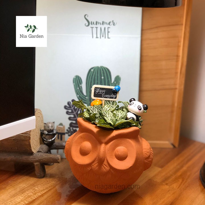 Chậu cú mèo đất nung trồng sen đá xương rồng mini cú banh tròn Nia Garden N4