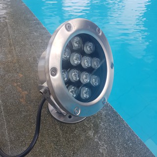Đèn LED âm nước đế hồ cá Koi