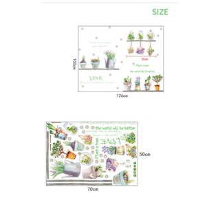 decal dán tường chậu hoa trang trí