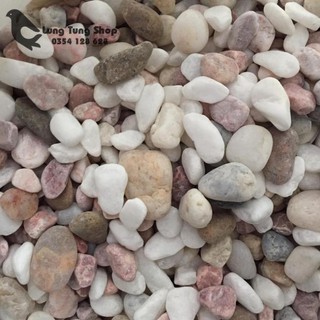1 kg đá sỏi hỗn hợp size trung dùng trang trí sân vườn hố cá