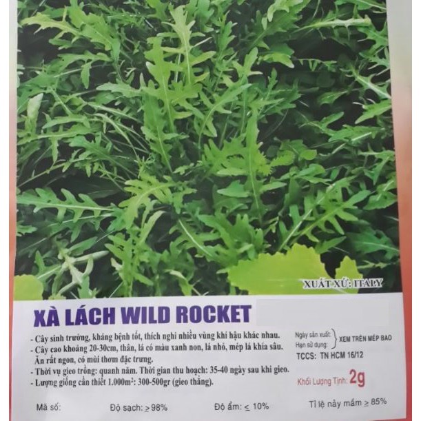 HẠT GIỐNG XÀ LÁCH ROCKET - GÓI 2 GRAM