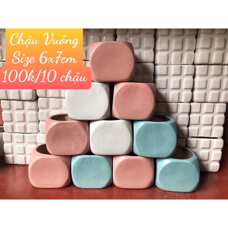 COMBO 10 CHẬU SỨ CAO CẤP CHỈ 100k