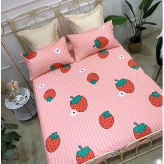 [Ga chống thấm cotton hàn quốc]Ga chống thấm cotton cao cấp,đủ kích thước,mẫu trái dâu tây