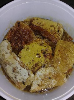 Mật ong rừng Tây Bắc