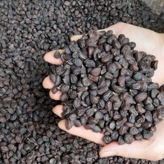 100g DỔI NẾP CỔ THỤ THƠM NỨC MŨI