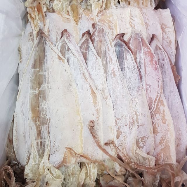 MỰC KHÔ 12 CON 1KG TÚI 500G GIÁ 600K