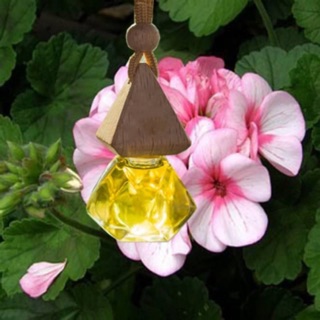 Tinh dầu treo xe ô tô xe hơi hương Hoa Sứ thơm ngát