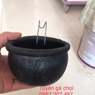 Gáo ăn cho gà