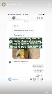 THẢM BÔNG CHÙI CHÂN HOA HƯỚNG DƯƠNG
