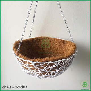 Chậu treo trồng cây xơ dừa Fi28