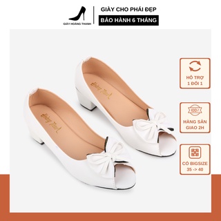 Giày Cao Gót Nữ Giày Búp Bê Mũi Nhọn Công Sở Đế Vuông 3 Phân Hoàng Thanh G1