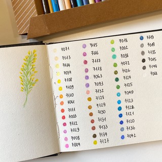 Màu chì Miya Erasable Coloured Pencil (set 24/36/48)